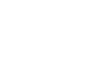 car detailing icon