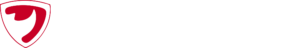 rhino nano logo